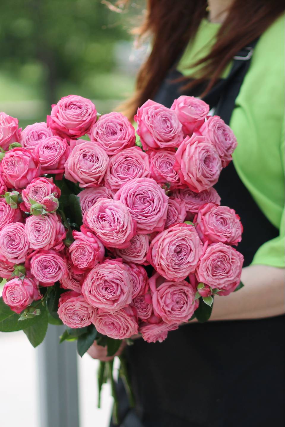 Роза кустовая Artaziya (Артезия)