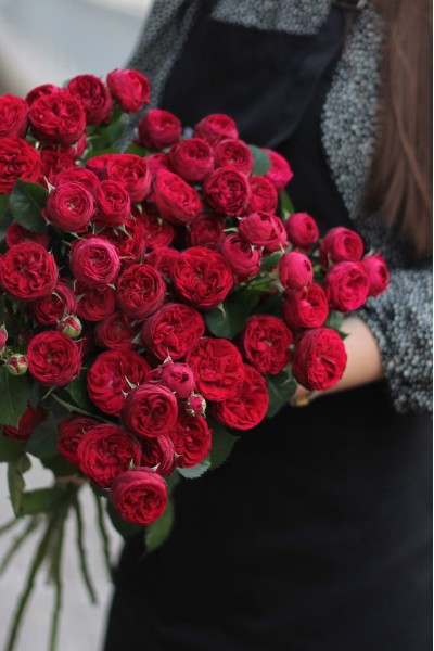 Роза кустовая Maroon