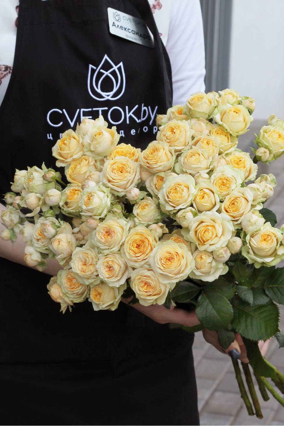 Роза кустовая Lovely Yo-yo - с добавлением зелени