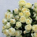 Роза кустовая Wedding Yo-Yo - подарочное оформление - миниатюра