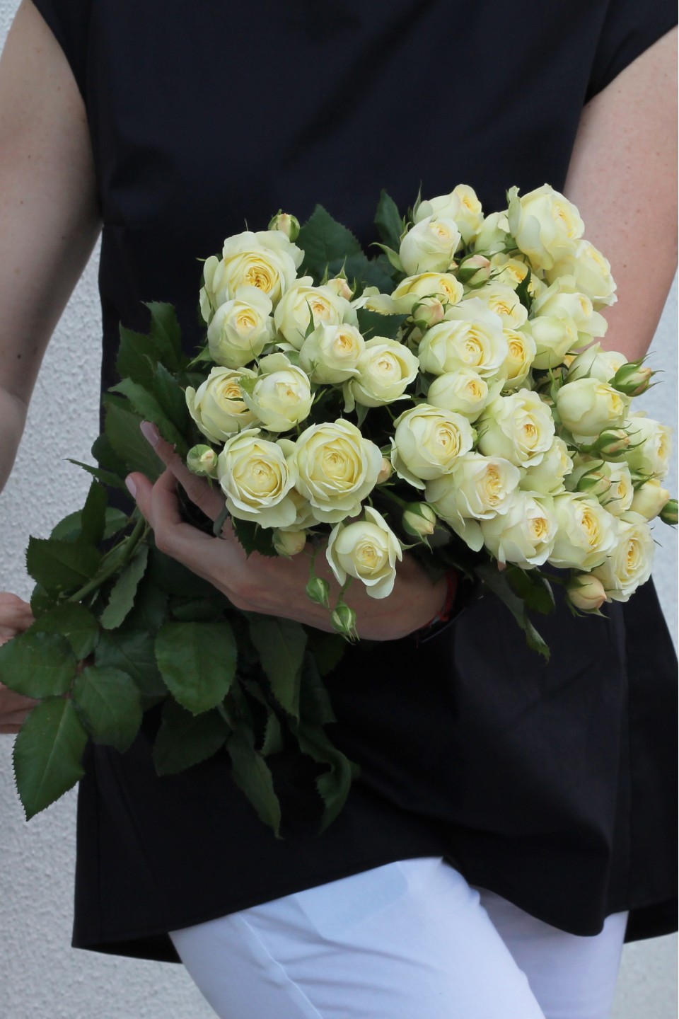 Роза кустовая Wedding Yo-Yo - с добавлением зелени