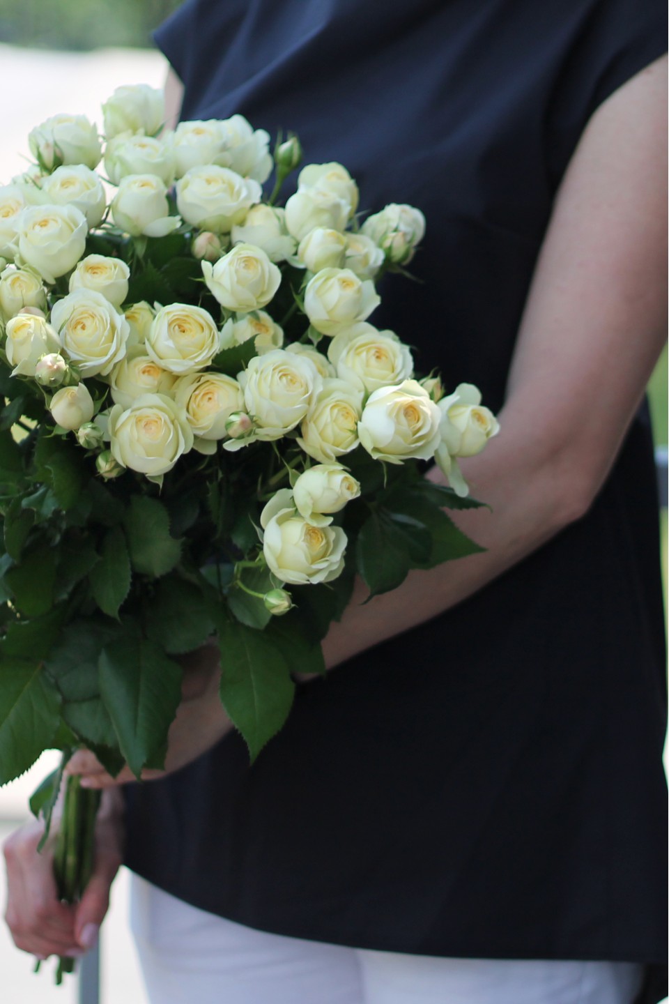 Роза кустовая Wedding Yo-Yo - с доставкой по Минску