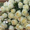 Роза кустовая Wedding Yo-Yo - быстрая доставка в Минске - миниатюра