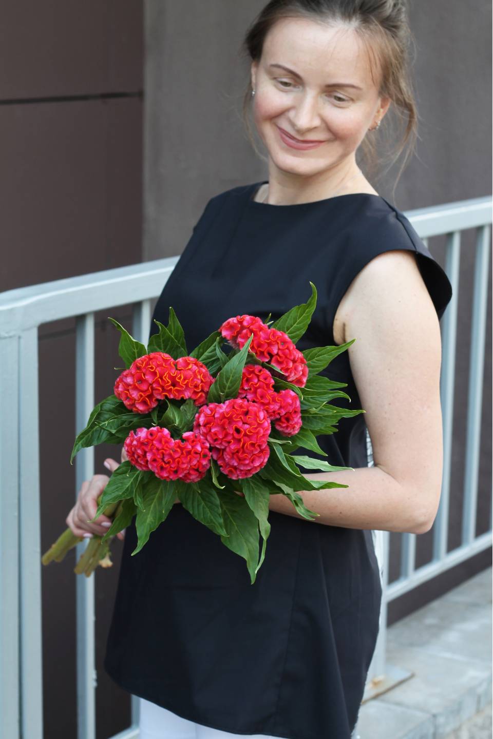 Целозия Грибенчатая (Celosia cristata) - с добавлением зелени
