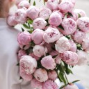 Пион Сара Бернар «Sara Bernard» - с доставкой по Минску - миниатюра