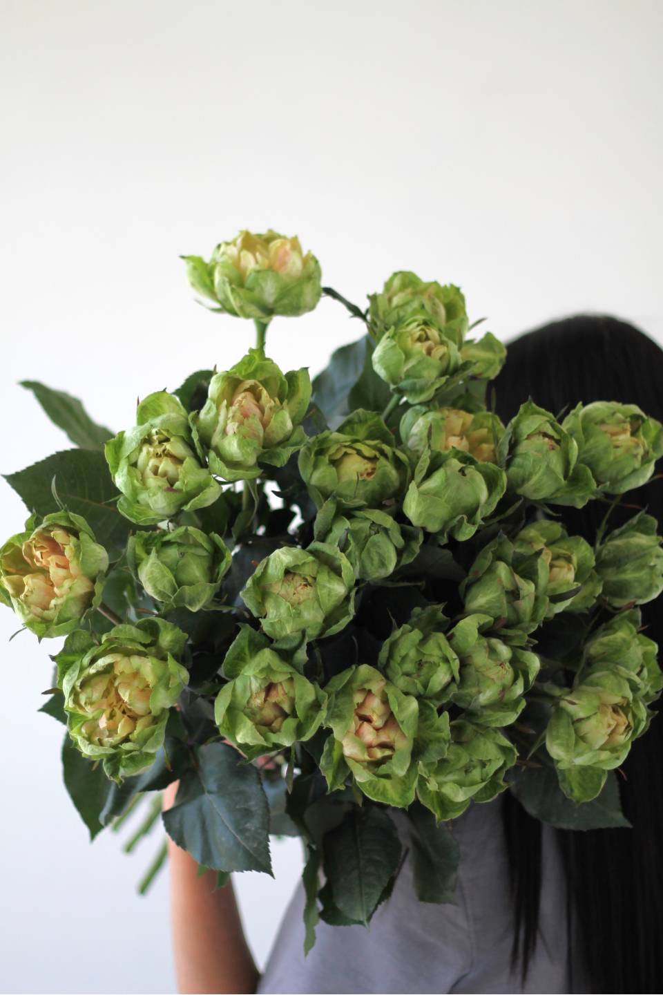 Роза Вегги - с доставкой по Минску