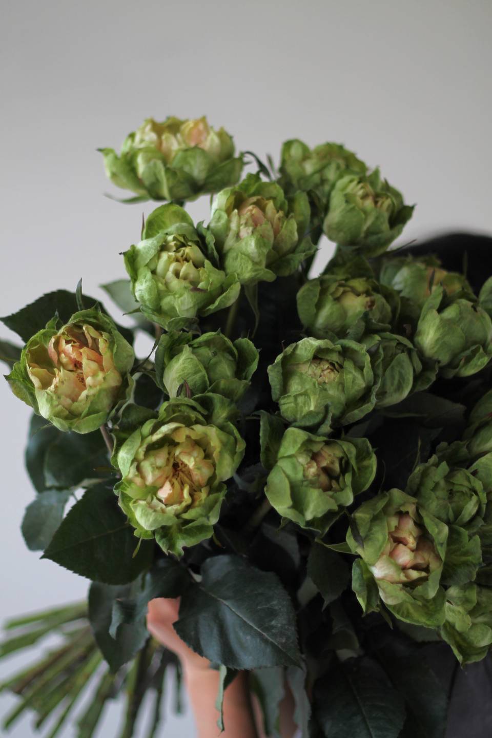 Роза Вегги - с добавлением зелени