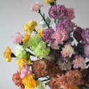 Гвоздика Sunrise - с доставкой по Минску - миниатюра