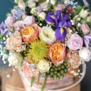 Композиция Явление - миниатюра Композиция Явление - миниатюра