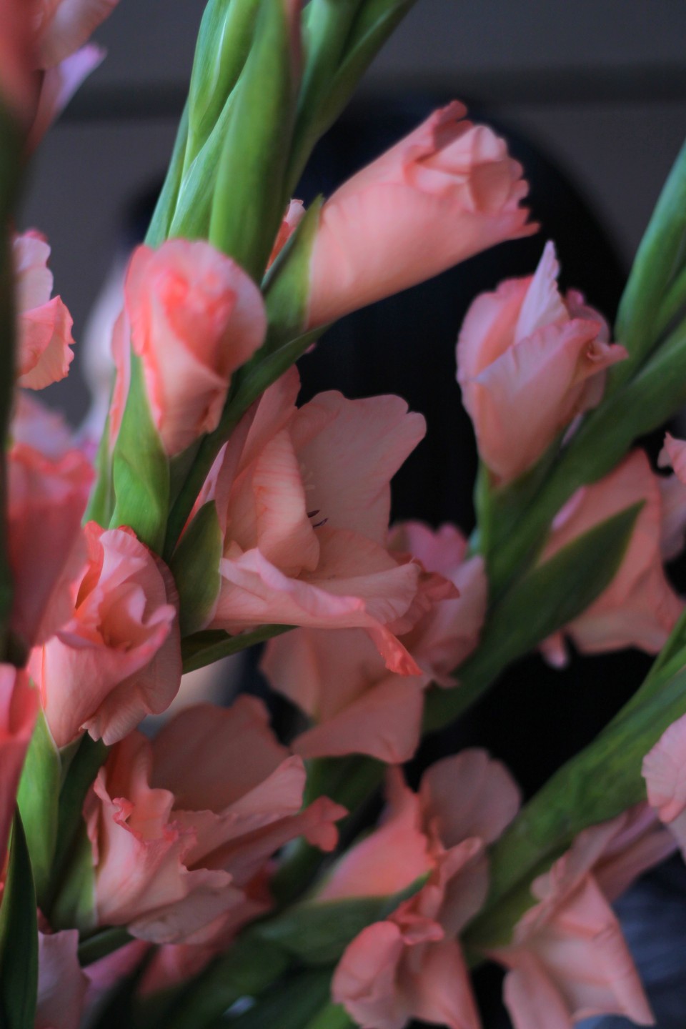 Гладиолус персиковый - с добавлением зелени