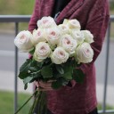 Роза OHara (Охара) - миниатюра