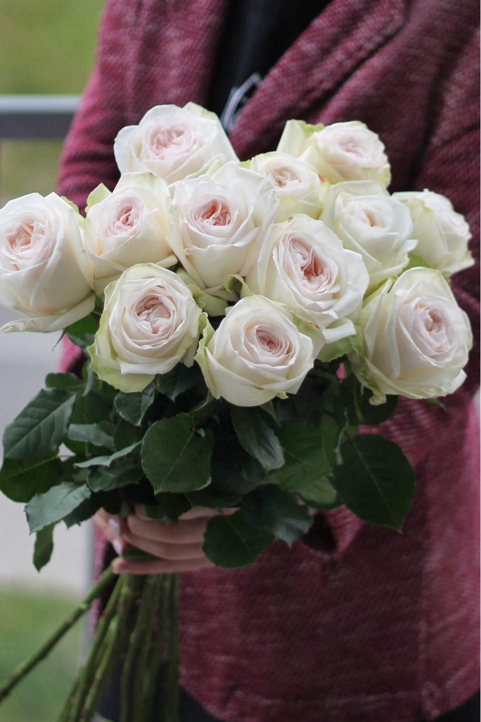 Роза OHara (Охара)