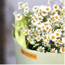 Букет Солнечный - с добавлением зелени - миниатюра 