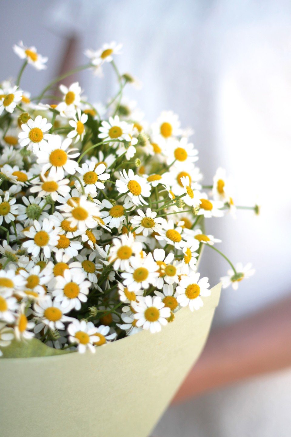 Букет Солнечный - с доставкой по Минску