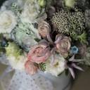 Коробочка Алиса - с доставкой по Минску - миниатюра