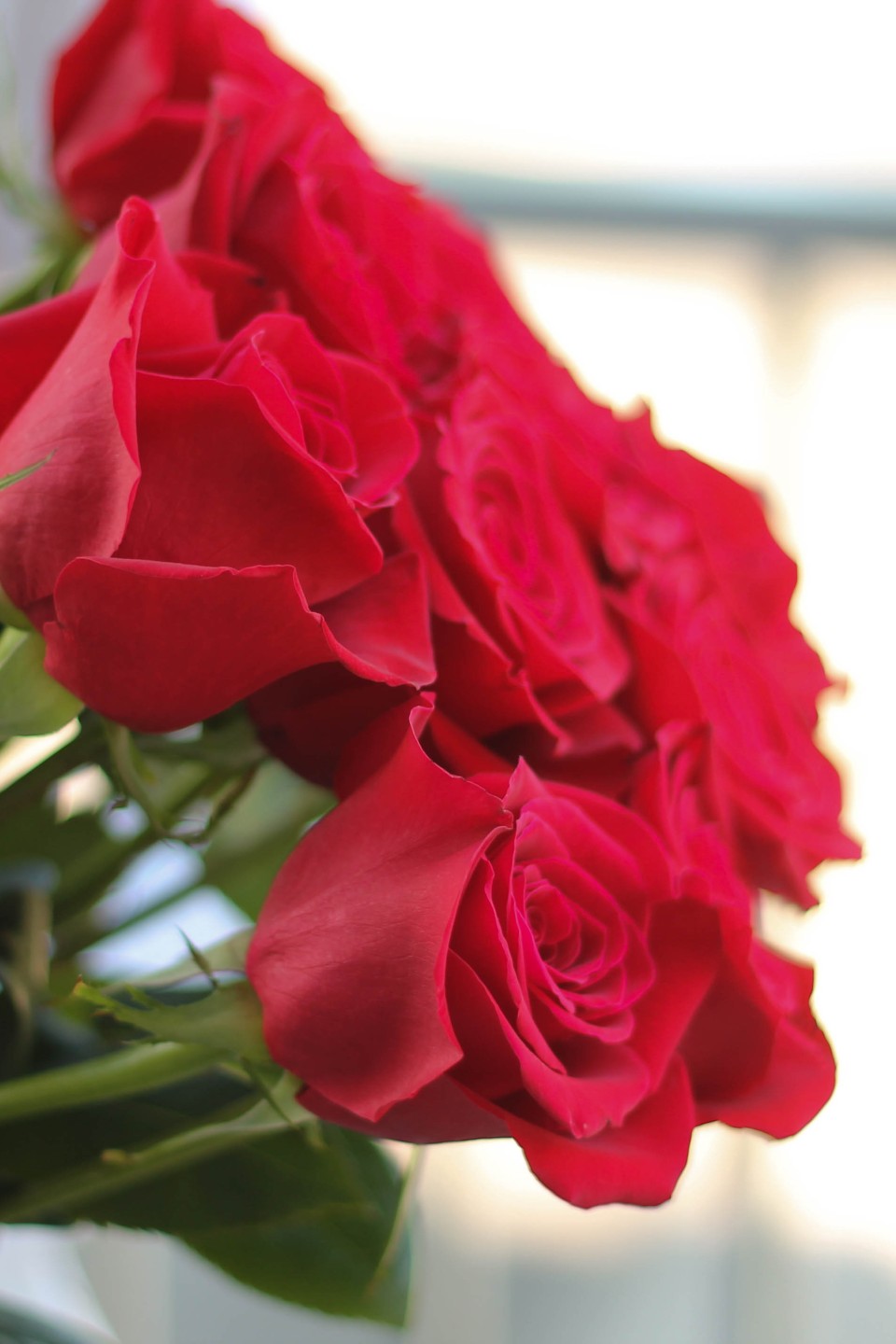 Букет роз Очарование - с доставкой по Минску