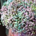 Коробочка Кэрали - с доставкой по Минску - миниатюра