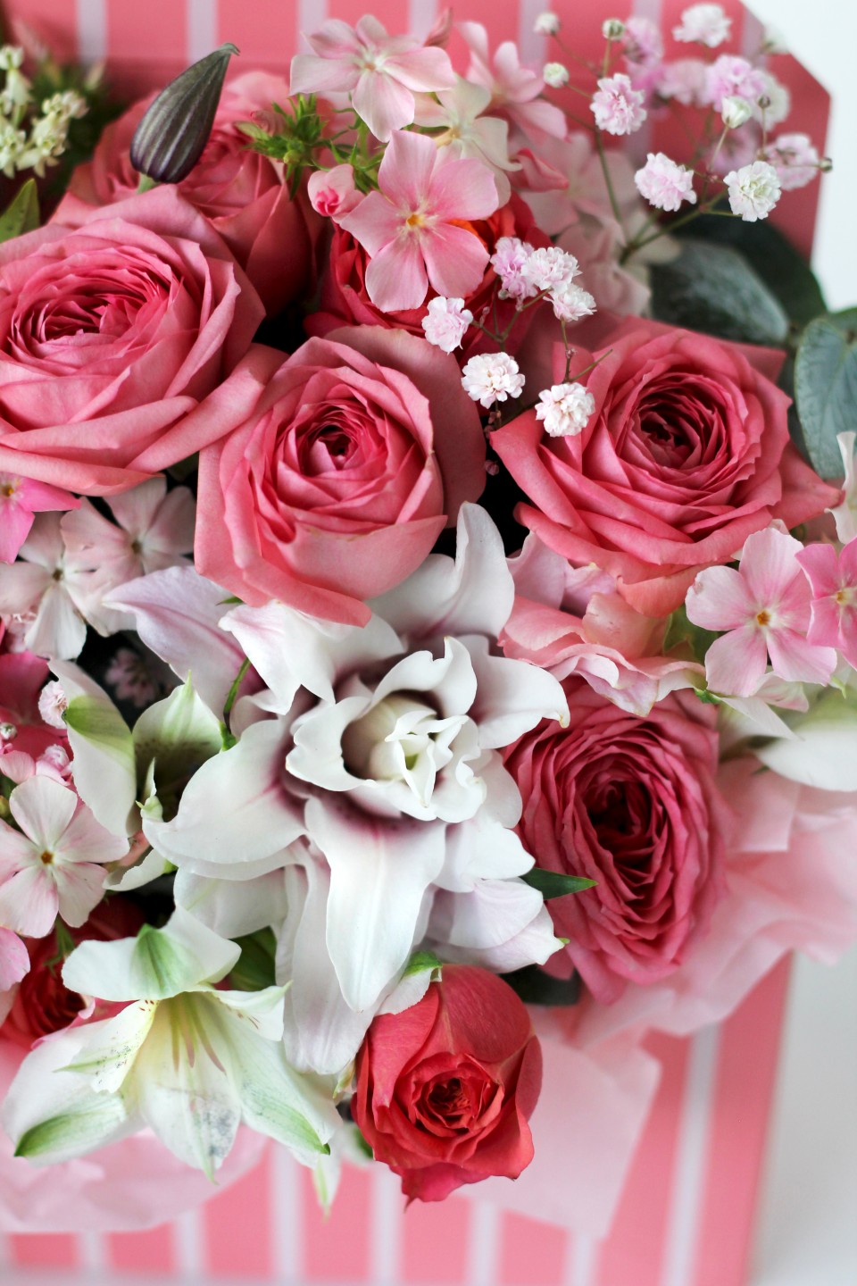 Конверт Майли - с доставкой по Минску