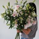 Лилия Sorbonne - миниатюра