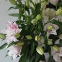 Лилия Sorbonne - подарочное оформление - миниатюра