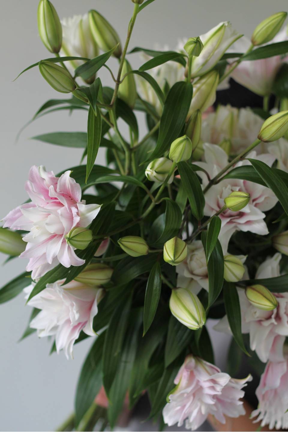 Лилия Sorbonne - подарочное оформление