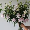 Лилия Sorbonne - с добавлением зелени - миниатюра 