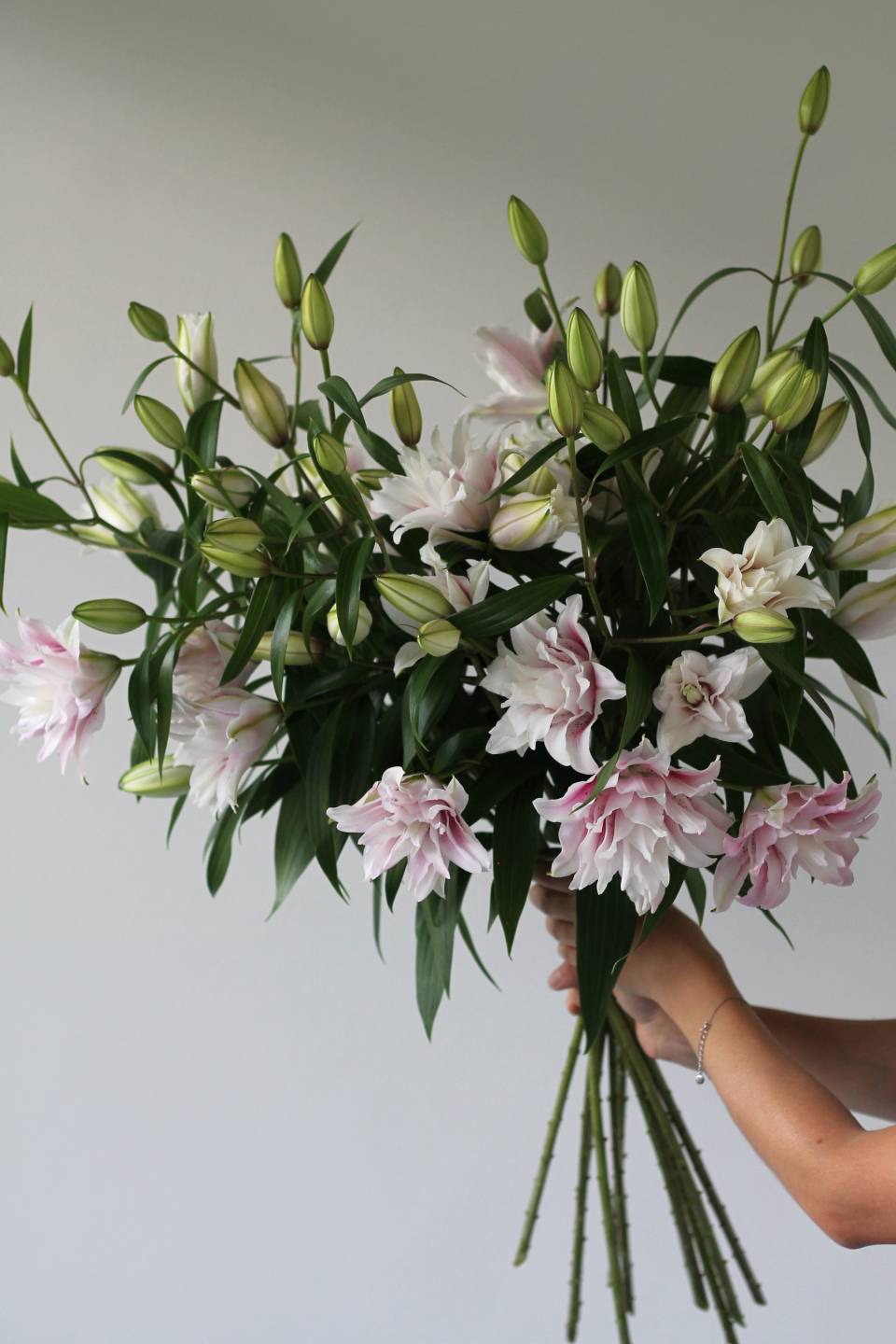 Лилия Sorbonne - с добавлением зелени