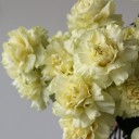 Французская лимонная роза - с доставкой по Минску - миниатюра