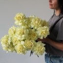 Французская лимонная роза - миниатюра