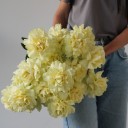 Французская лимонная роза - с добавлением зелени - миниатюра 