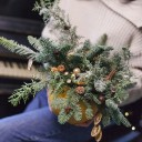 Композиция Лесная Мандаринка - подарочное оформление - миниатюра