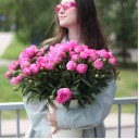 Пион розовый садовый - быстрая доставка в Минске - миниатюра