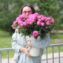 Пион розовый садовый - с добавлением зелени - миниатюра 