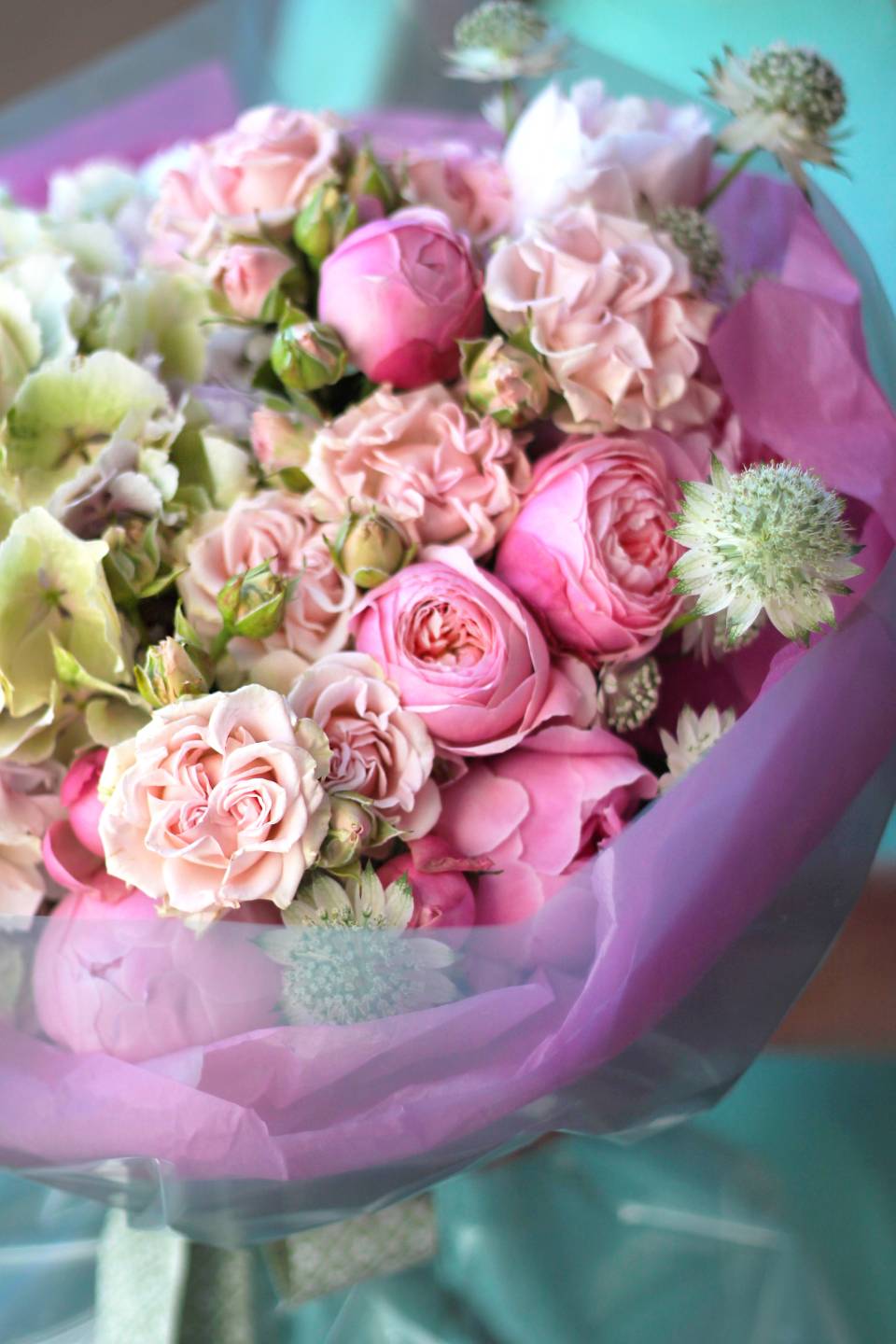 Букет Сальвиния - с доставкой по Минску