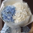Букет гортензий Блюз - с доставкой по Минску - миниатюра