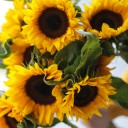 Подсолнух - миниатюра 9