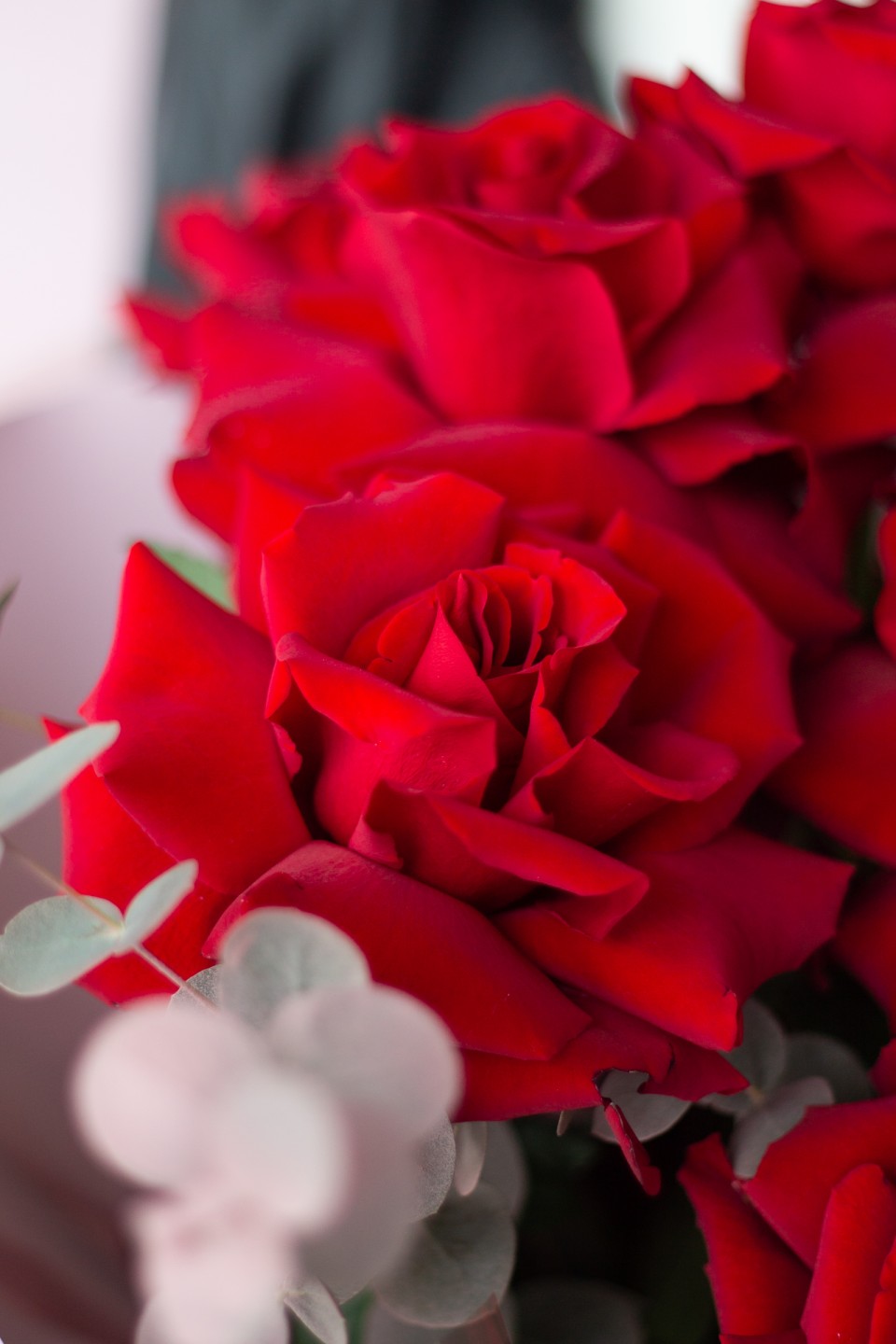 Букет Настоящий красный - с добавлением зелени