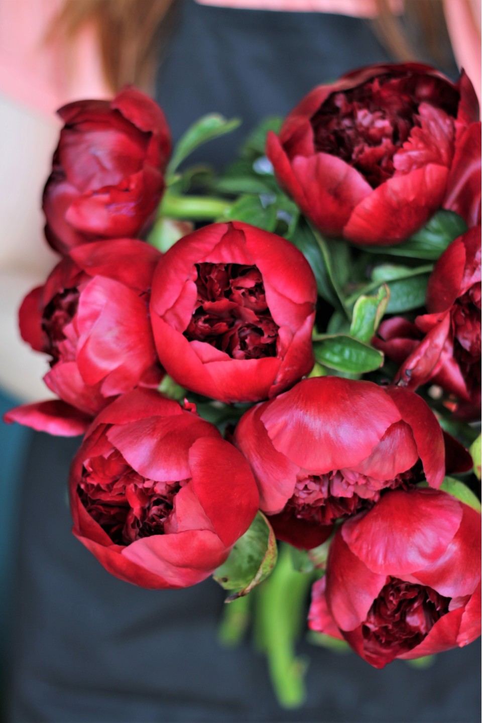 Пион Ред Шарм - с добавлением зелени