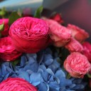 Букет Оракул - с доставкой по Минску - миниатюра