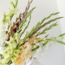 Гладиолус Микс - подарочное оформление - миниатюра