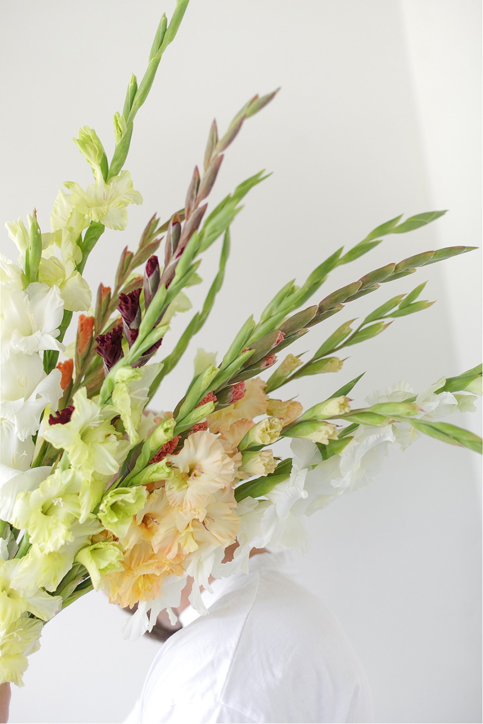 Гладиолус Микс - подарочное оформление