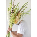 Гладиолус Микс - миниатюра