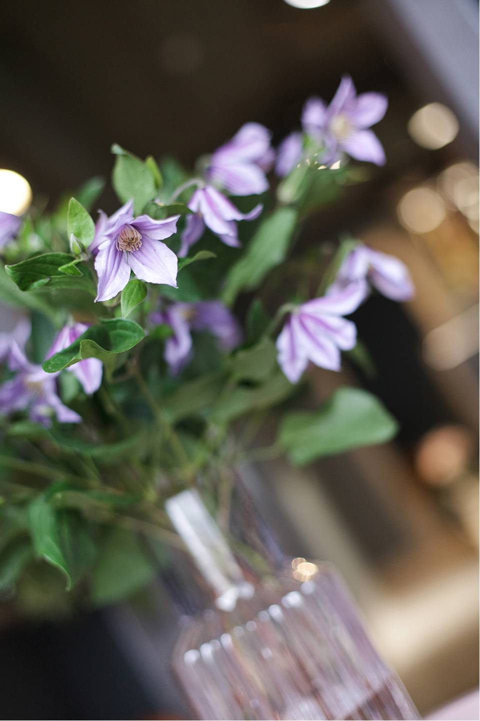 Клематис (Clematis) - быстрая доставка в Минске