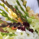 Гладиолус Микс - с доставкой по Минску - миниатюра