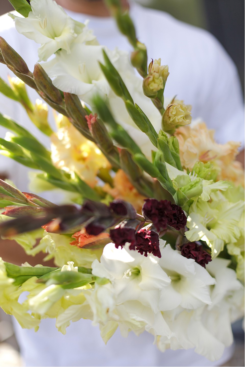 Гладиолус Микс - с доставкой по Минску