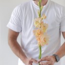 Гладиолус Микс - с добавлением зелени - миниатюра 