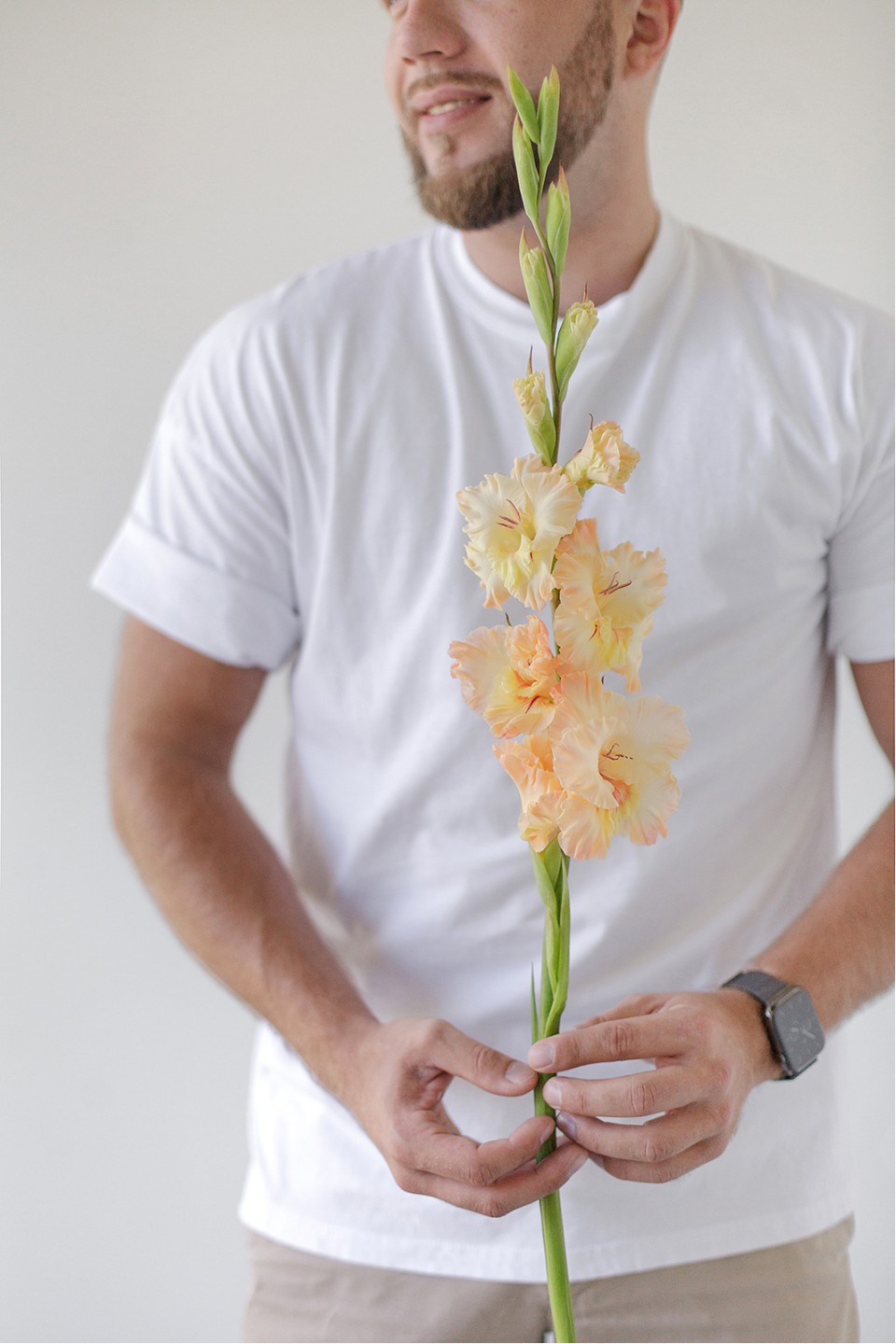 Гладиолус Микс - с добавлением зелени