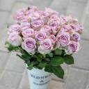 Роза Memory lane - миниатюра