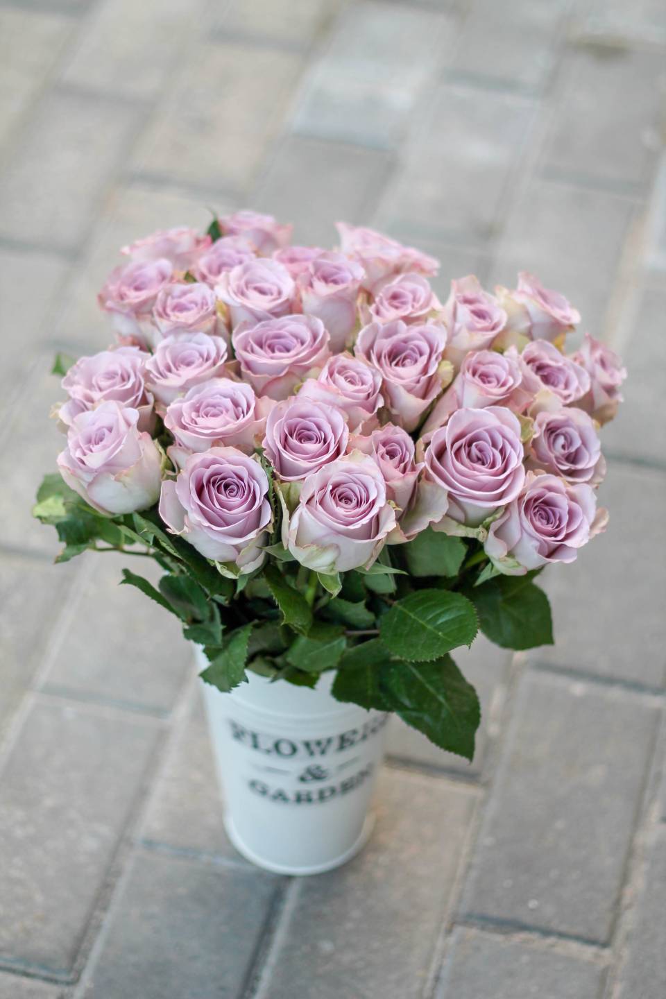 Роза Memory lane