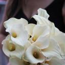 Калла белая (white Calla) - с добавлением зелени - миниатюра 
